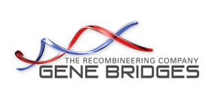 Logo Gene Bridges GmbH