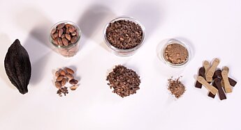 Verschiedene Kakaobohnen und Kakaoprodukte in Gläsern und kleinen Portionen, darunter ganze Bohnen, Nibs, Pulver und Schokoladenstücke auf hellem Hintergrund.